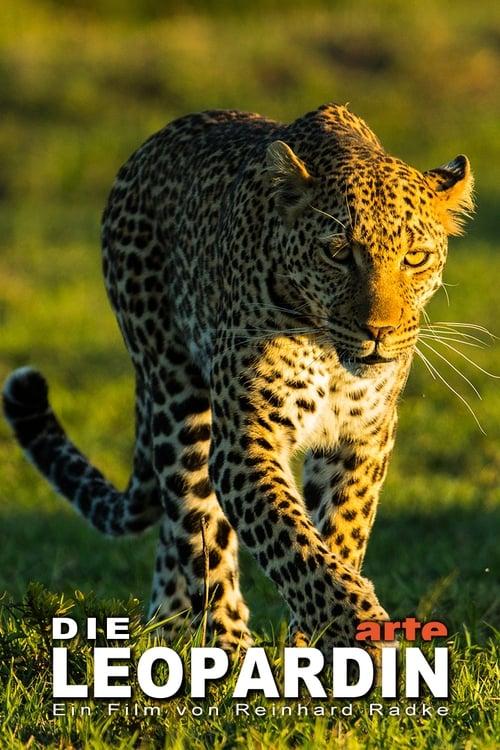 The Leopardess