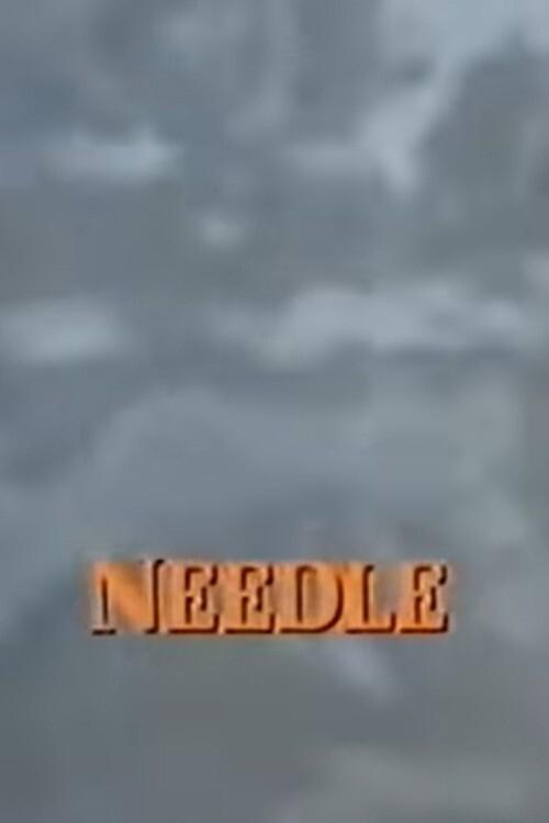 Needle