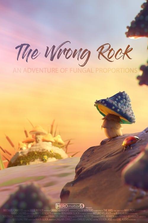 The Wrong Rock