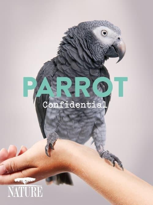 Parrot Confidential