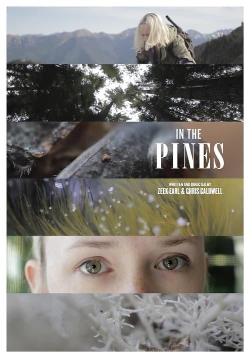 In the Pines