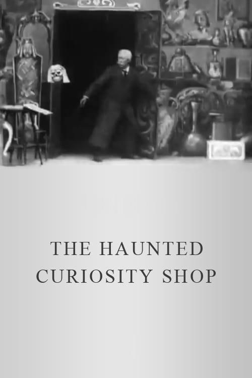 The Haunted Curiosity Shop