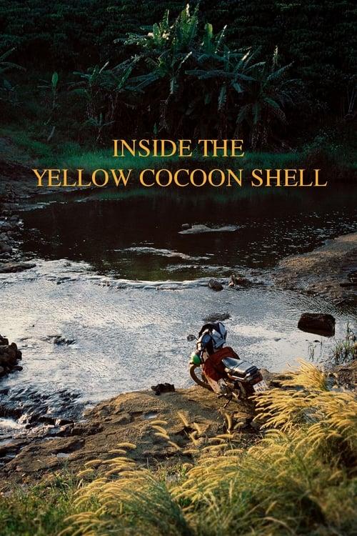 Inside the Yellow Cocoon Shell