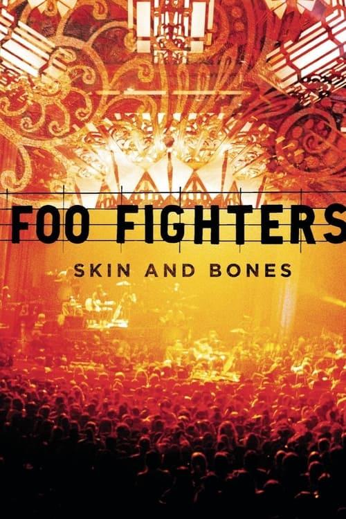 Foo Fighters: Skin and Bones