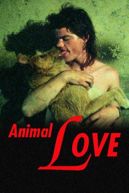 Animal Love