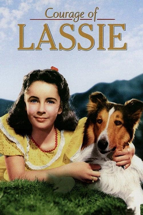 Courage of Lassie