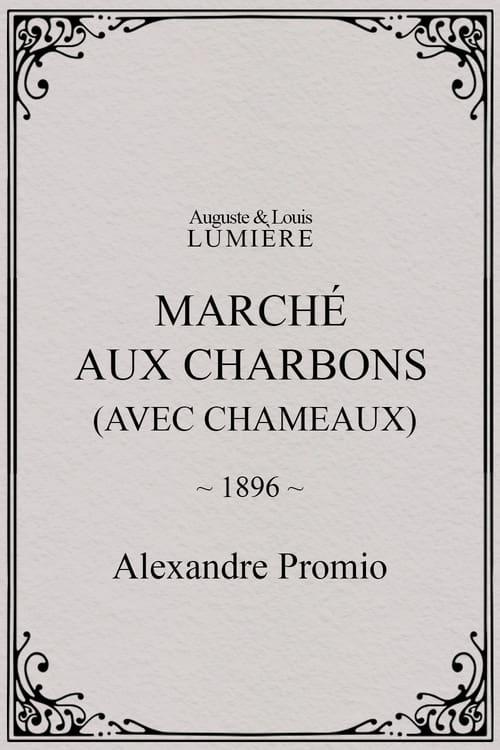 Marché aux charbons (avec chameaux)