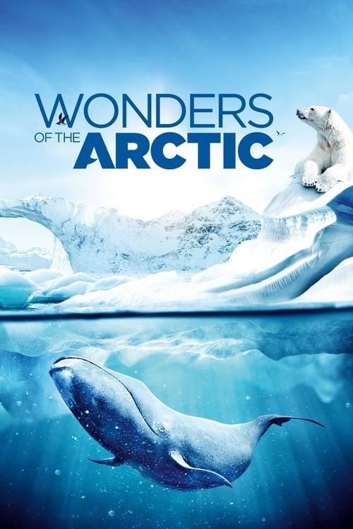 Wonders of the Arctic