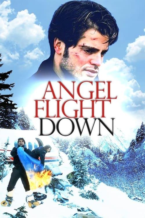 Angel Flight Down