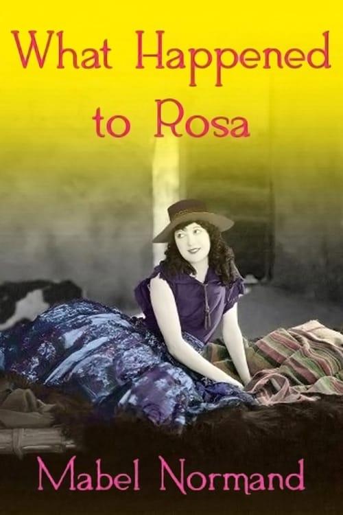 What Happened To Rosa?