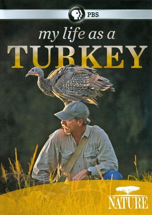 My Life as a Turkey