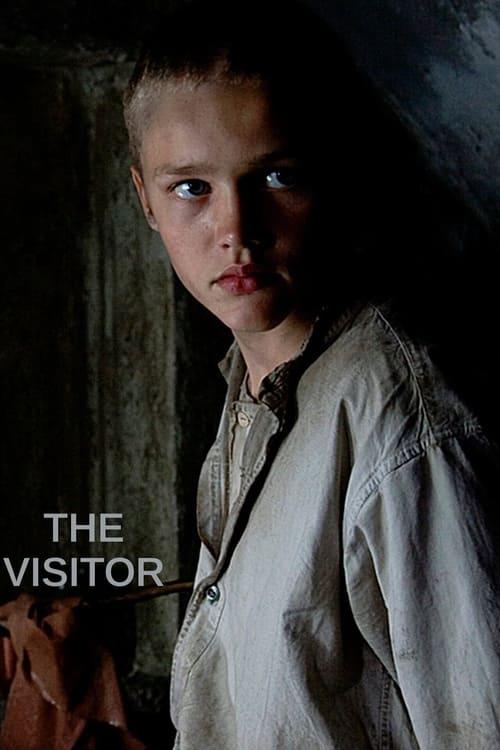 The Visitor