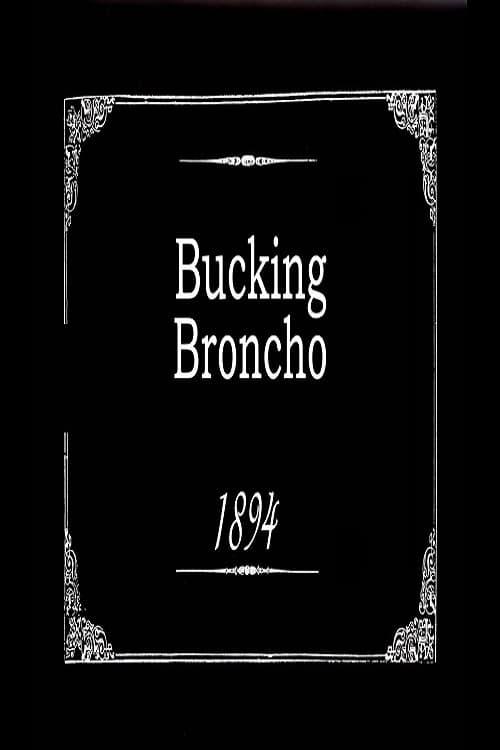 Bucking Broncho