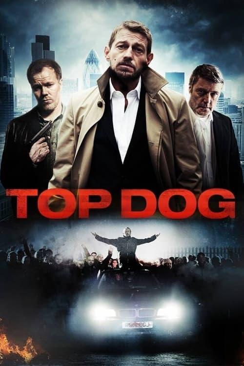 Top Dog