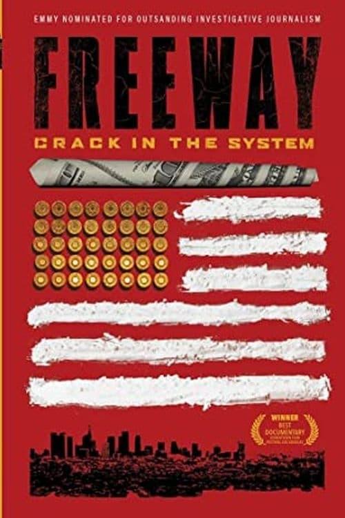 Freeway: Crack in the System