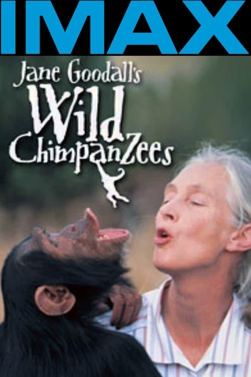 Jane Goodall's Wild Chimpanzees