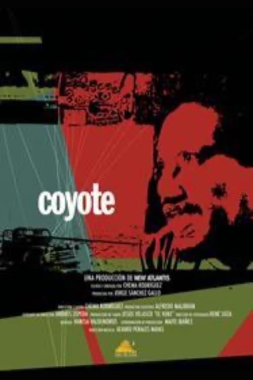 Coyote