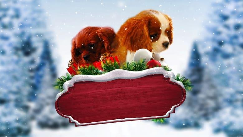 Project: Puppies for Christmas