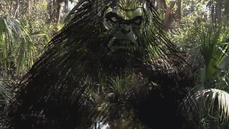 The Skunk Ape Lives