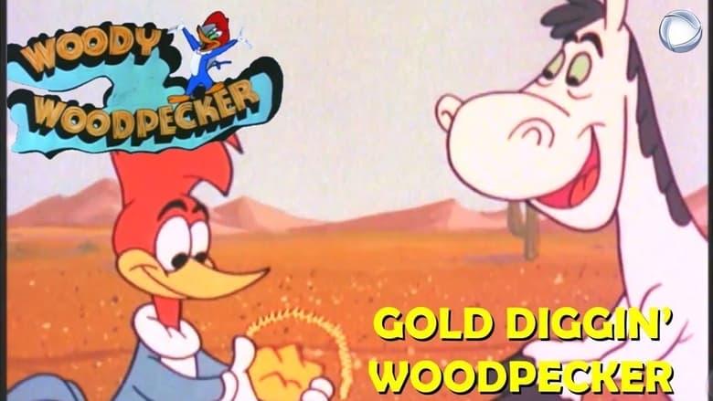 Gold Diggin' Woodpecker