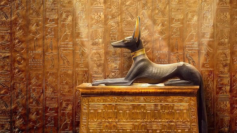 King Tut: A Century of Secrets