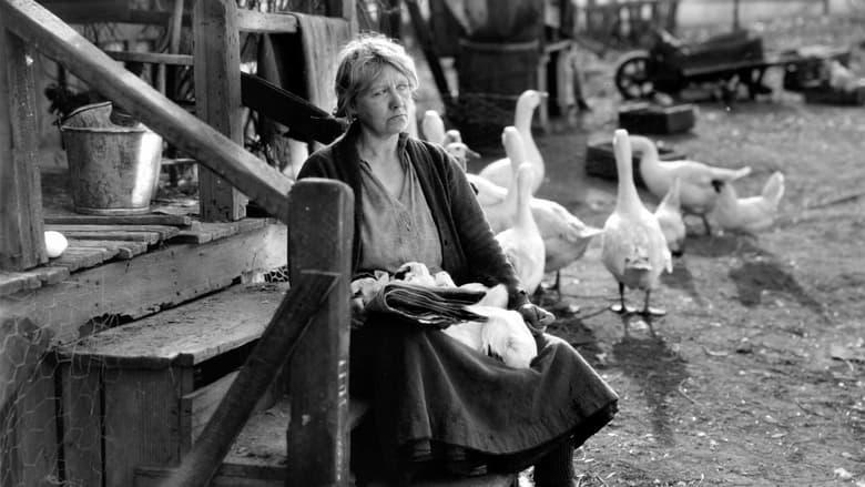 The Goose Woman