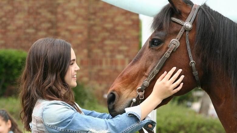 A Cowgirl's Story