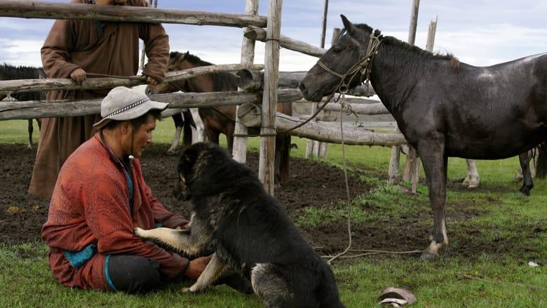 The Bounty Hunter of Mongolia